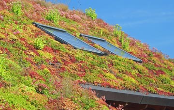 Stodmarsh living roof systems