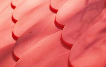 Stodmarsh plastic roof costs