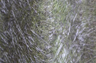 Stodmarsh fibreglass roof work